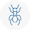 Ant Removals In Hagley