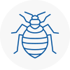 Bed Bug Extermination In Hagley