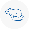 Rat Control Hagley