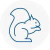 Hagley Rodent Removals
