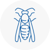 Hagley Wasp Nest Removal